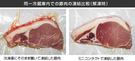 同一冷蔵庫内での豚肉の凍結比較（解凍時）